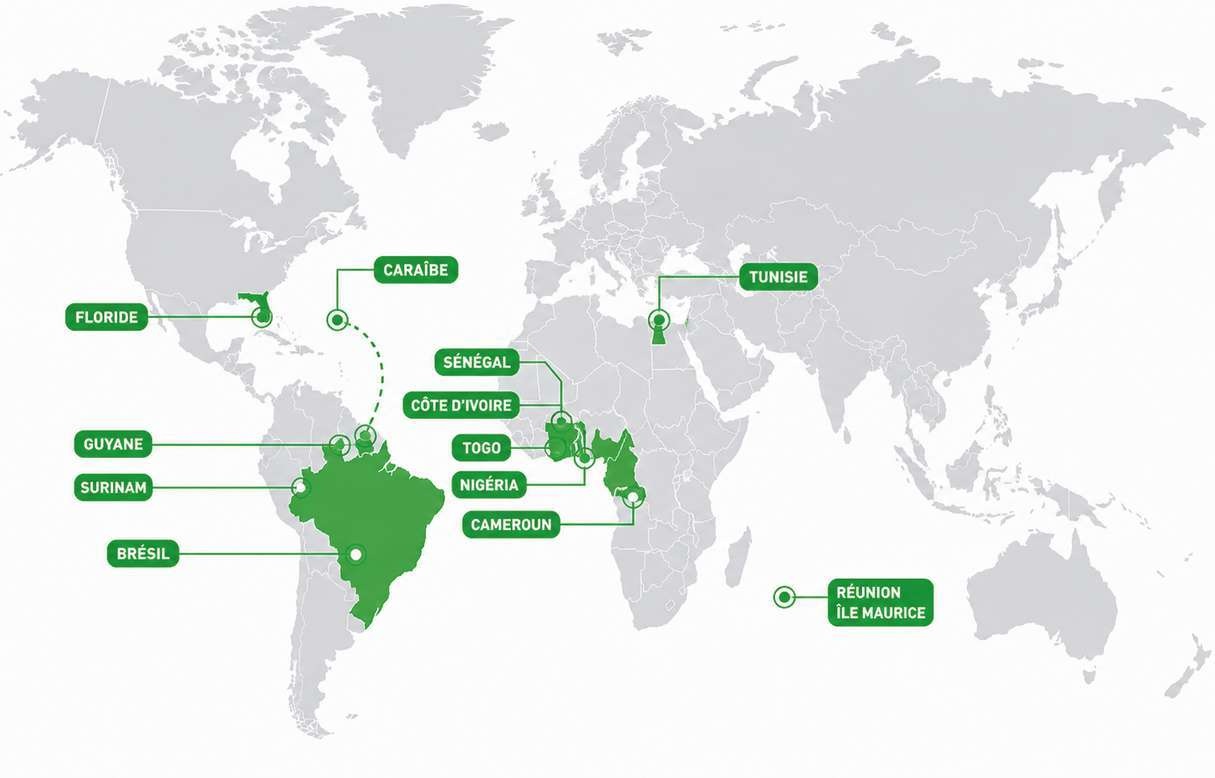 Carte des marchés internationaux Keltor